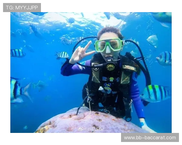 夏之光盲盒旅行局水上游戏畅享夏日清凉探索无限乐趣
